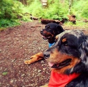 Meet your Posher, Ronnie